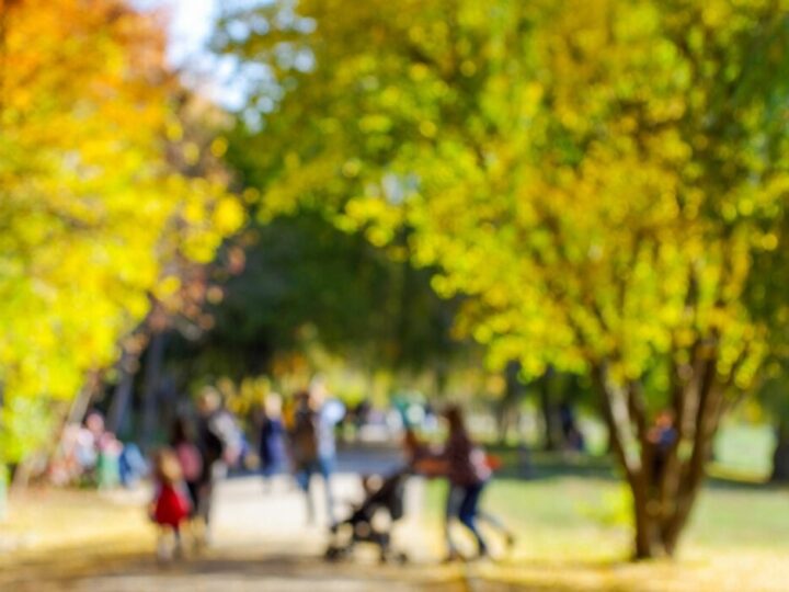 Złote Gody: Świętowanie 50-lecia małżeństwa w Sulejówku