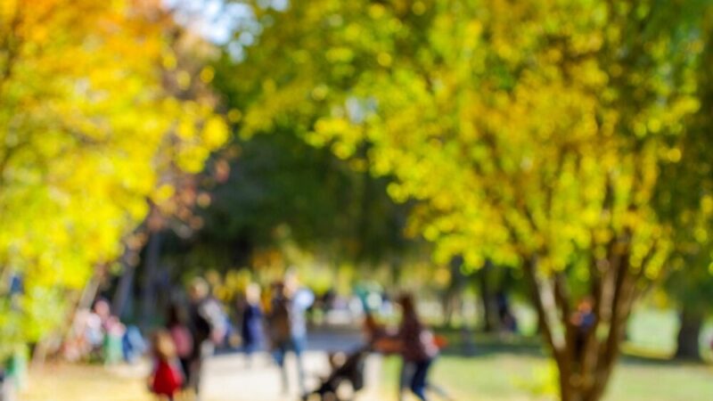 Złote Gody: Świętowanie 50-lecia małżeństwa w Sulejówku