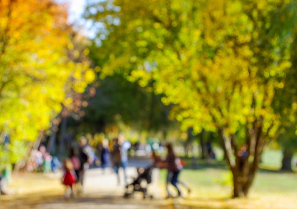 Złote Gody: Świętowanie 50-lecia małżeństwa w Sulejówku