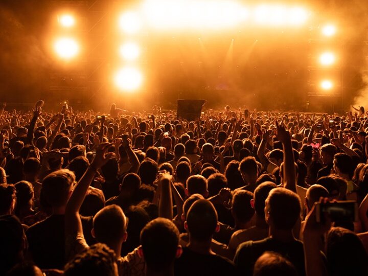 Festiwal Zofiówka – co warto zobaczyć?