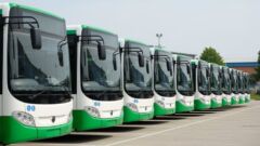 Darmowe linie cmentarne od 30 października