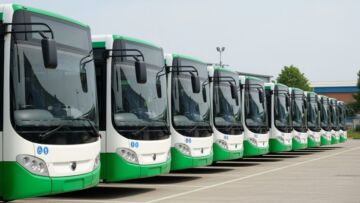 Darmowe linie cmentarne od 30 października